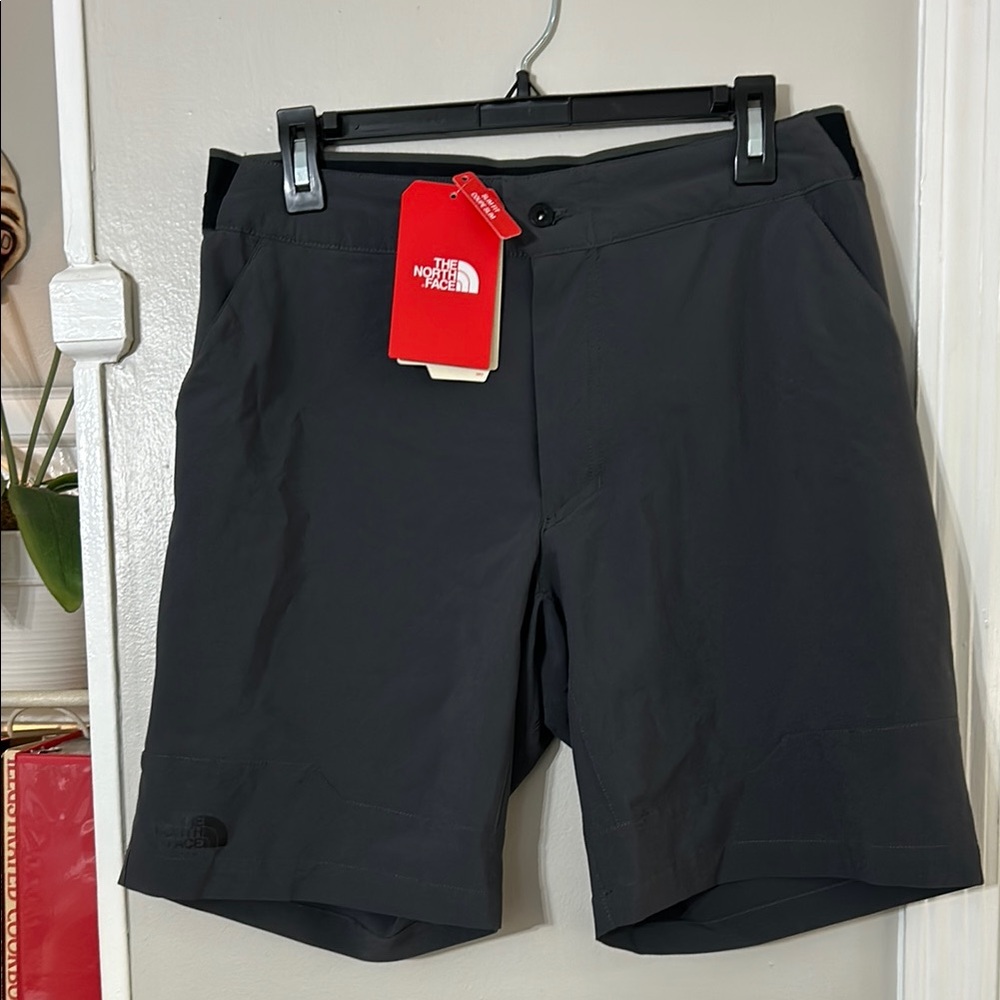 The North Face Men's Gray Shorts